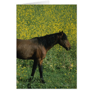 Cartão Cavalo Selvagem Mustang em Flores
