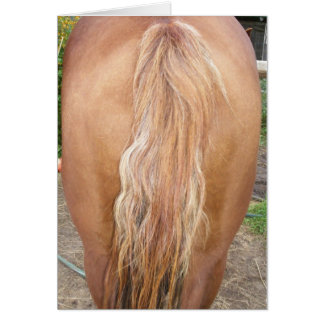 Cartão cavalo traseiro