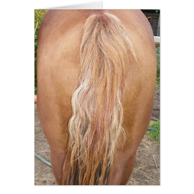 Cartão cavalo traseiro (Frente)