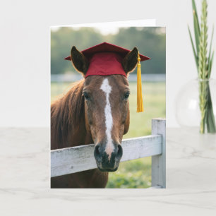 Cartão Cavalo Usando um Chapéu de Formatura Vermelho