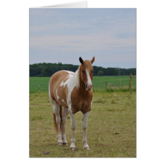 Cartão Cavalos
