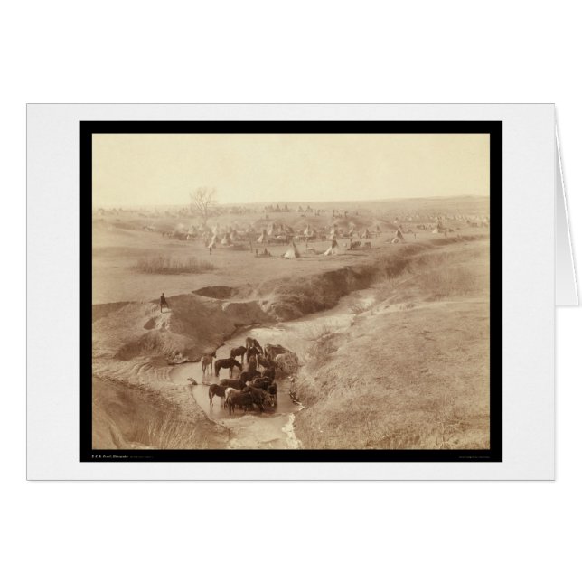 Cartão Cavalos a regar em White Clay Creek SD 1891 (Frente Horizontal)