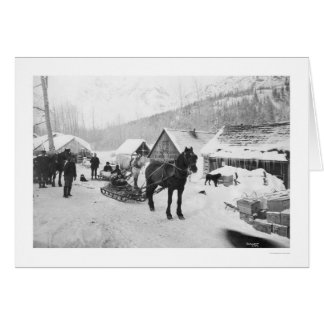 Cartão Cavalos Alaska 1912 da fuga de Valdez