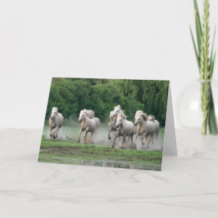 Cartão Cavalos Camargue Correndo na Água