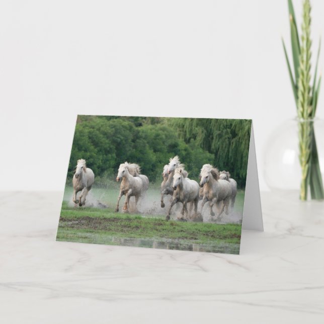 Cartão Cavalos Camargue Correndo na Água (Frente)