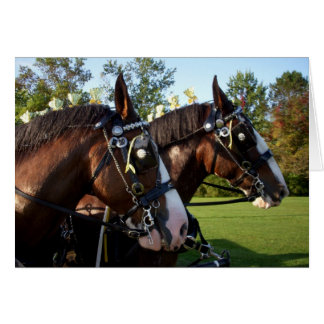 Cartão Cavalos Clydesdale