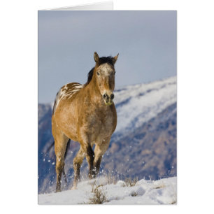 Cartão Cavalos Correndo na Neve