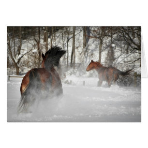 Cartão Cavalos correndo na placa personalizável de neve