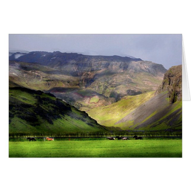 Cartão Cavalos corridos Islândia (Frente Horizontal)