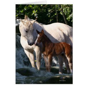 Cartão Cavalos da fantasia: Cachoeira