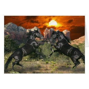 Cartão Cavalos da fantasia: Magia negra