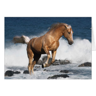 Cartão Cavalos da fantasia: Respingo do verão