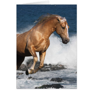 Cartão Cavalos da fantasia: Respingo do verão