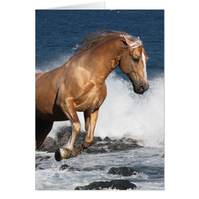 Cartão Cavalos da fantasia: Respingo do verão (Frente)