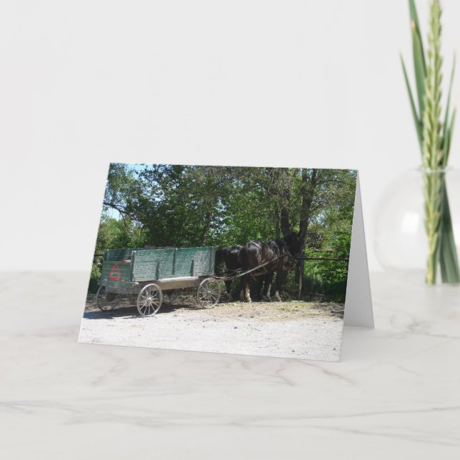 Cartão Cavalos de Amish (Frente)