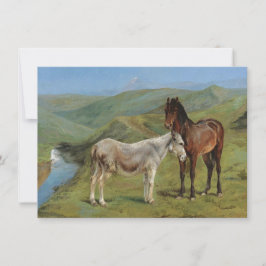 Cartão Cavalos de Cinza clara num campo (Equine Fazenda A