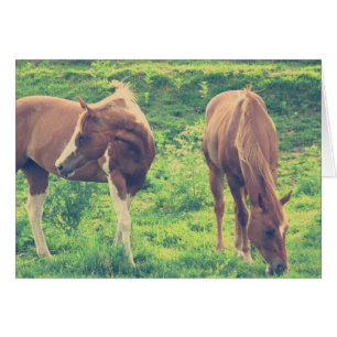 Cartão Cavalos de Cruzamento