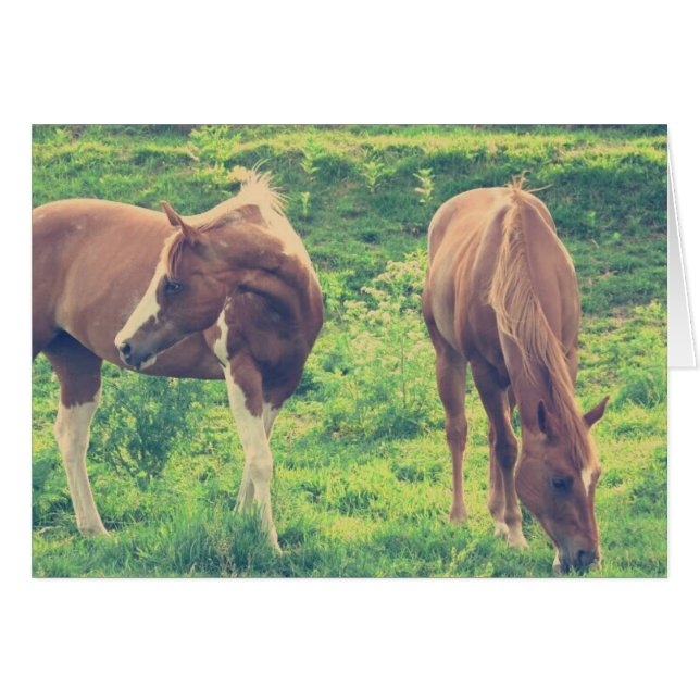 Cartão Cavalos de Cruzamento (Frente Horizontal)