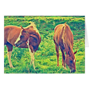 Cartão Cavalos de Cruzamento