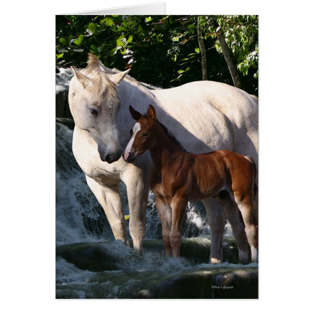 Cartão Cavalos de Fantasia: Cascata (Frente)