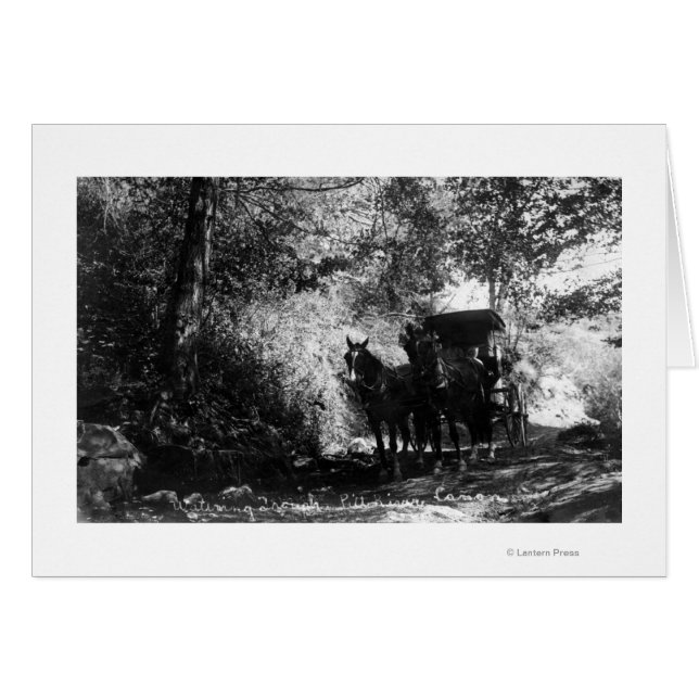 Cartão Cavalos de Frete que Tomam uma Pausa (Frente Horizontal)
