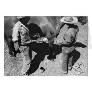 Cartão Cavalos de marcagem com ferro quente com a marca