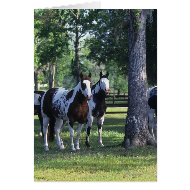 Cartão Cavalos de Tintas nas Árvores (Frente)