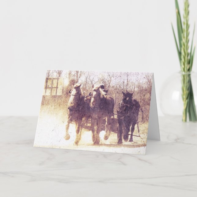 Cartão Cavalos de trabalho (Frente)