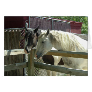 Cartão Cavalos do Barn