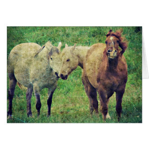 Cartão Cavalos Engraçados