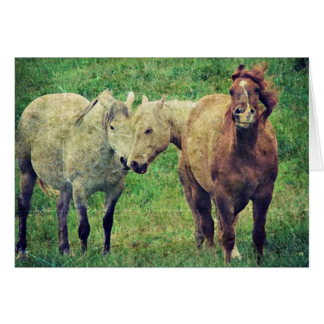 Cartão Cavalos Engraçados (Frente Horizontal)