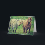 Cartão Cavalos engraçados, aniversário<br><div class="desc">Todos os direitos reservados © Angelandspot</div>