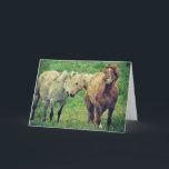 Cartão Cavalos engraçados, aniversário<br><div class="desc">Todos os direitos reservados © Angelandspot</div>