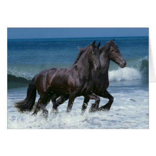 Cartão Cavalos Fantásticos: Friesianos e Mar