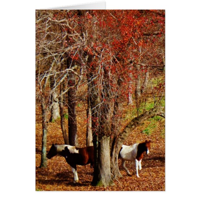 Cartão Cavalos Gêmeos Castanho e Branco (Frente)