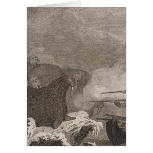 Cartão Cavalos marinhos