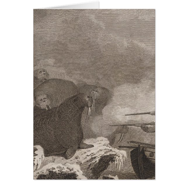 Cartão Cavalos marinhos (Frente)