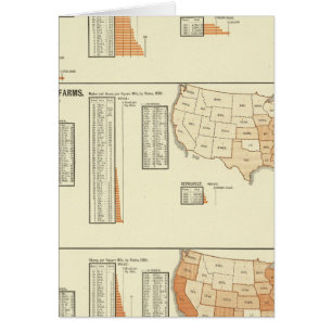 Cartão Cavalos, mula, asinina, ovelha
