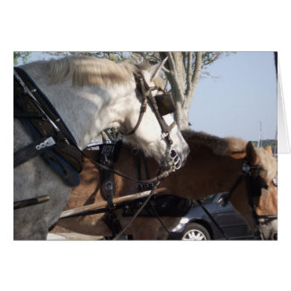 Cartão Cavalos no chicote de fios