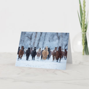 Cartão Cavalos no Frio