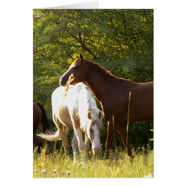 Cartão Cavalos no Prado (Frente)