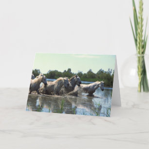 Cartão Cavalos que atravessam a água