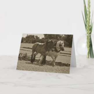Cartão Cavalos rasos de aniversário