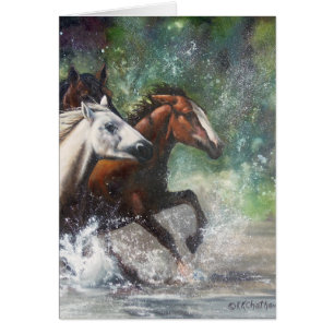 Cartão Cavalos selvagens de Salt River