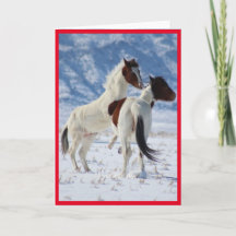 CAVALOS SELVAGENS DE UTAH PINTO GREETING CARD