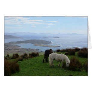 Cartão Cavalos selvagens em Ireland