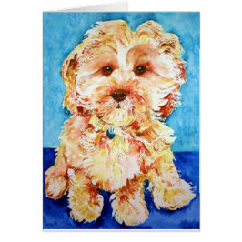 Cartão Cavapoo "Ollie".