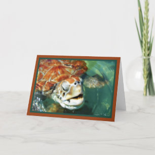 Cartão Cayman Turtle