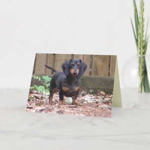 Cartão CC- - 'We miss you' dachshund card