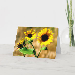 CARTÃO CEDA - SUNFLOWER - BLANK CARD